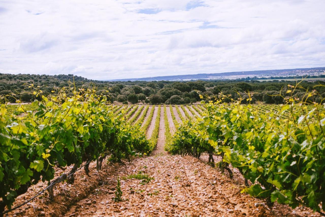 Castillo De Monte La Reina Posada Real & Bodega تورو المظهر الخارجي الصورة