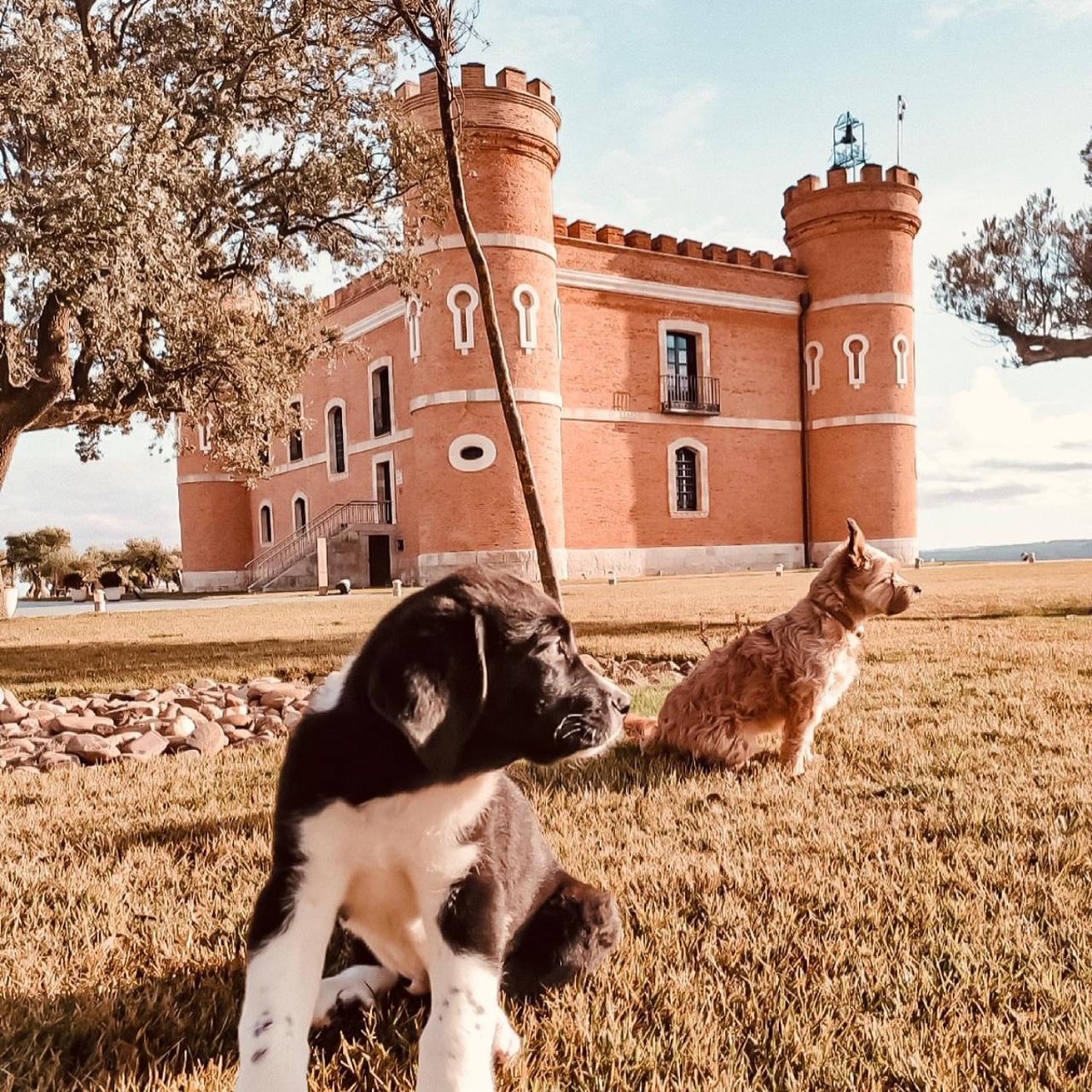 Castillo De Monte La Reina Posada Real & Bodega تورو المظهر الخارجي الصورة